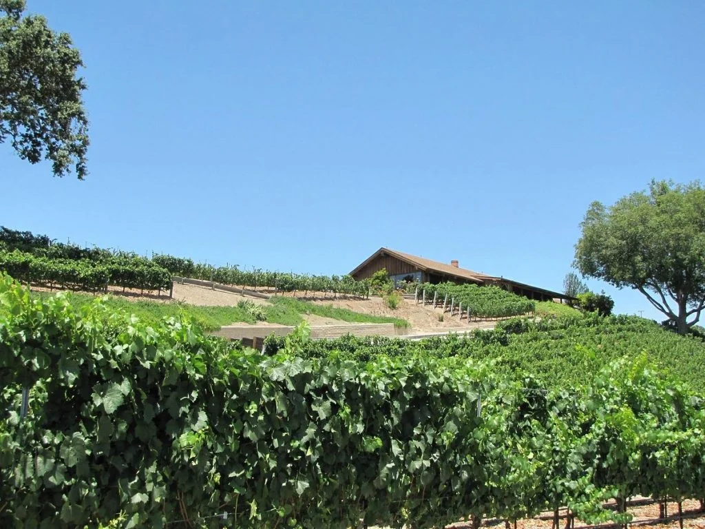 Vineyard transit