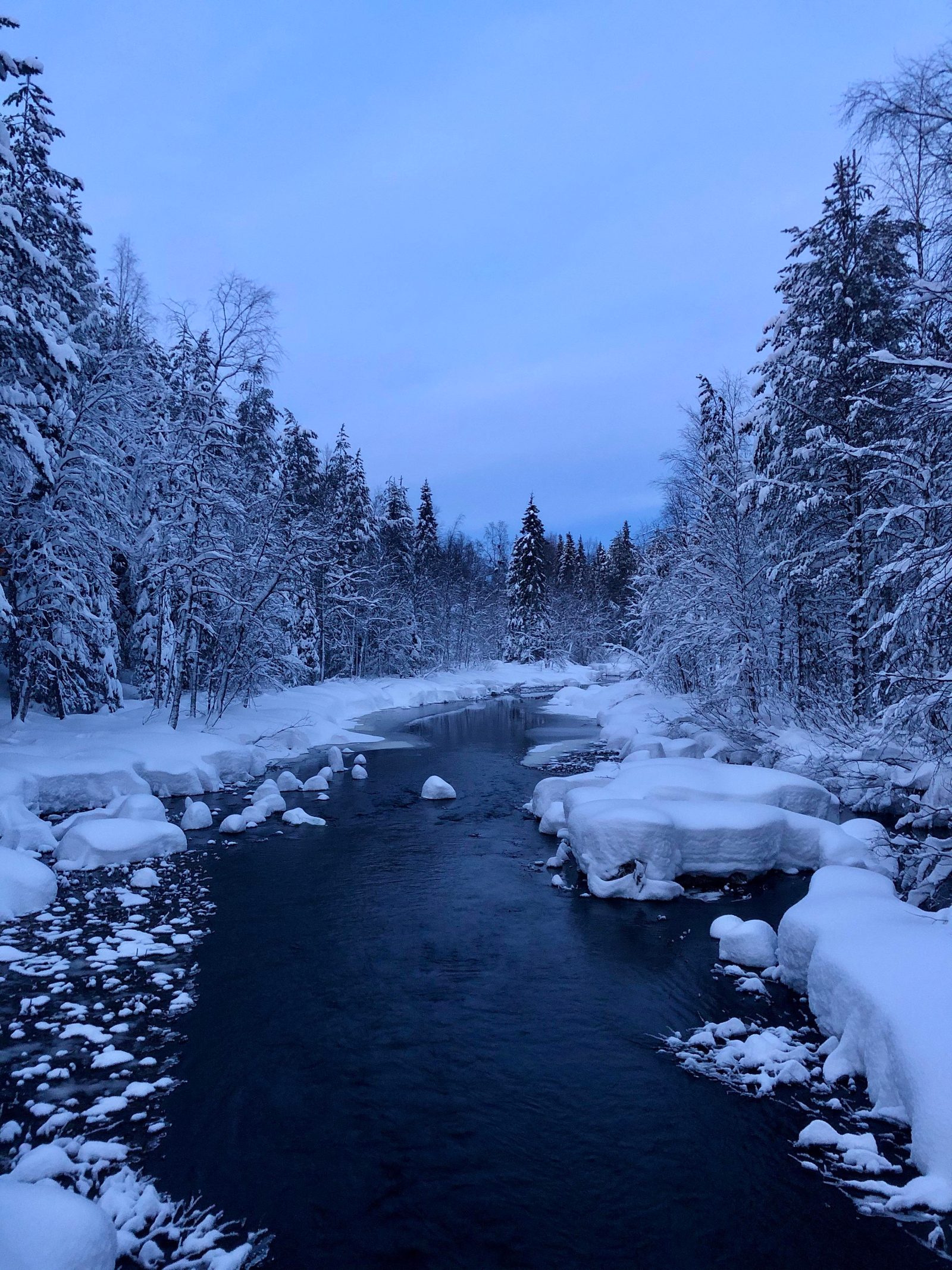 Lake Immeljärvi Shoreline