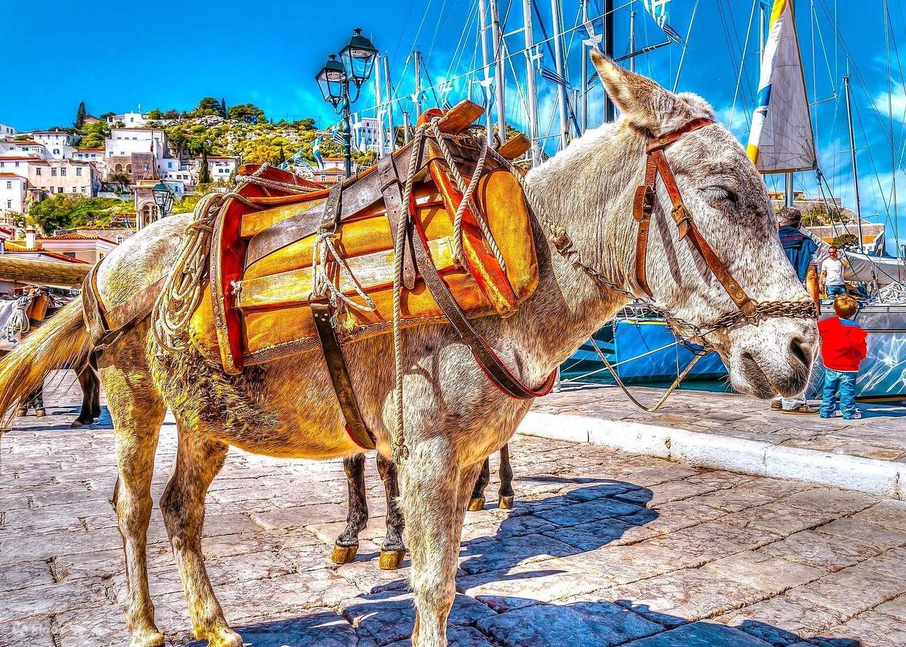 Hydra Donkey Path
