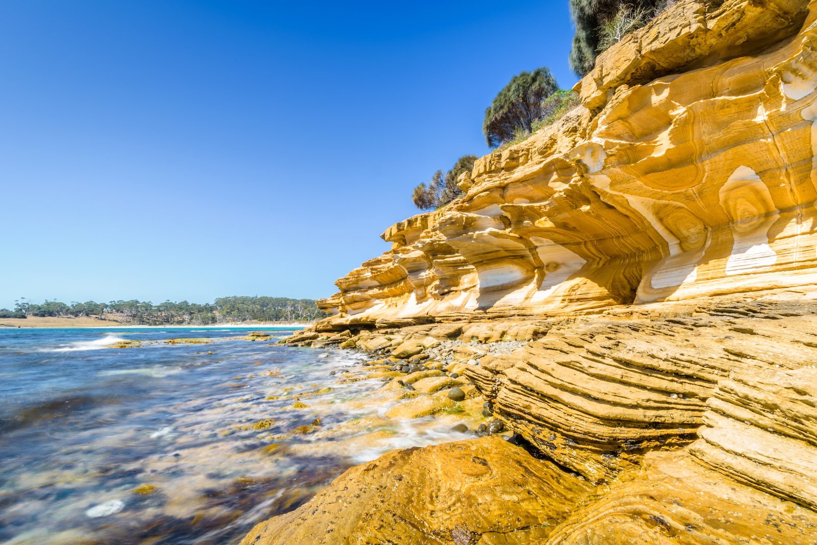 Painted Cliffs