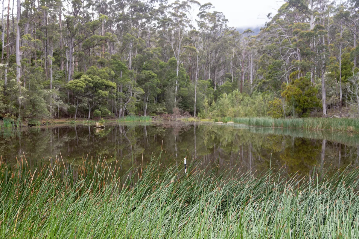 Reservoir Walk