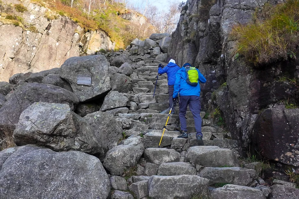 Preikestolen Guided Hike