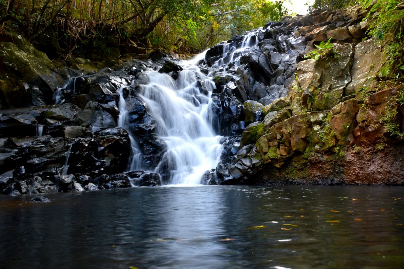 Frédérica Nature Reserve Waterfall
