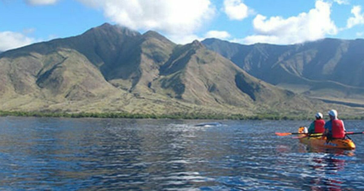 Palauea Bay Coastal View