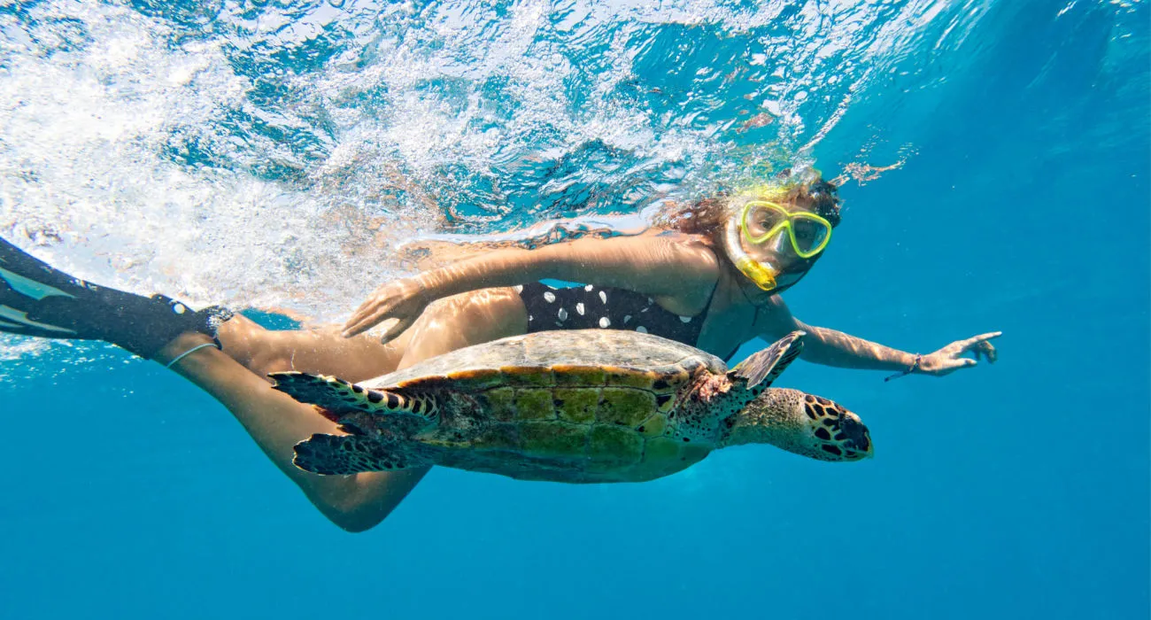 Turtle Town Kayak Tour