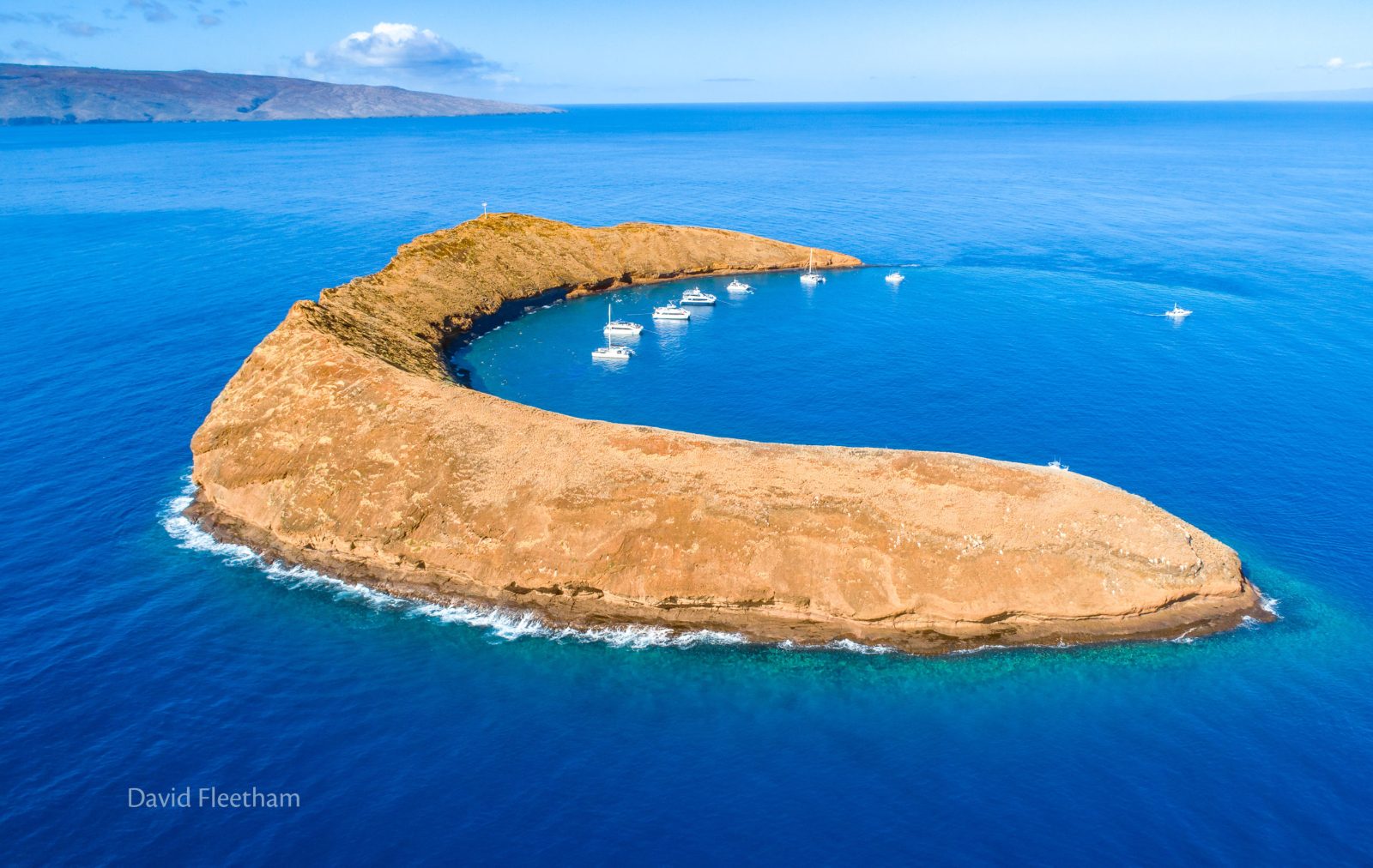 Turtle Arches
