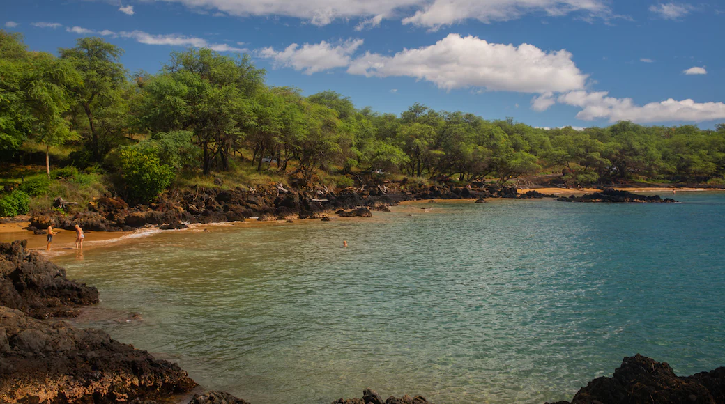 Makena Landing Shoreline