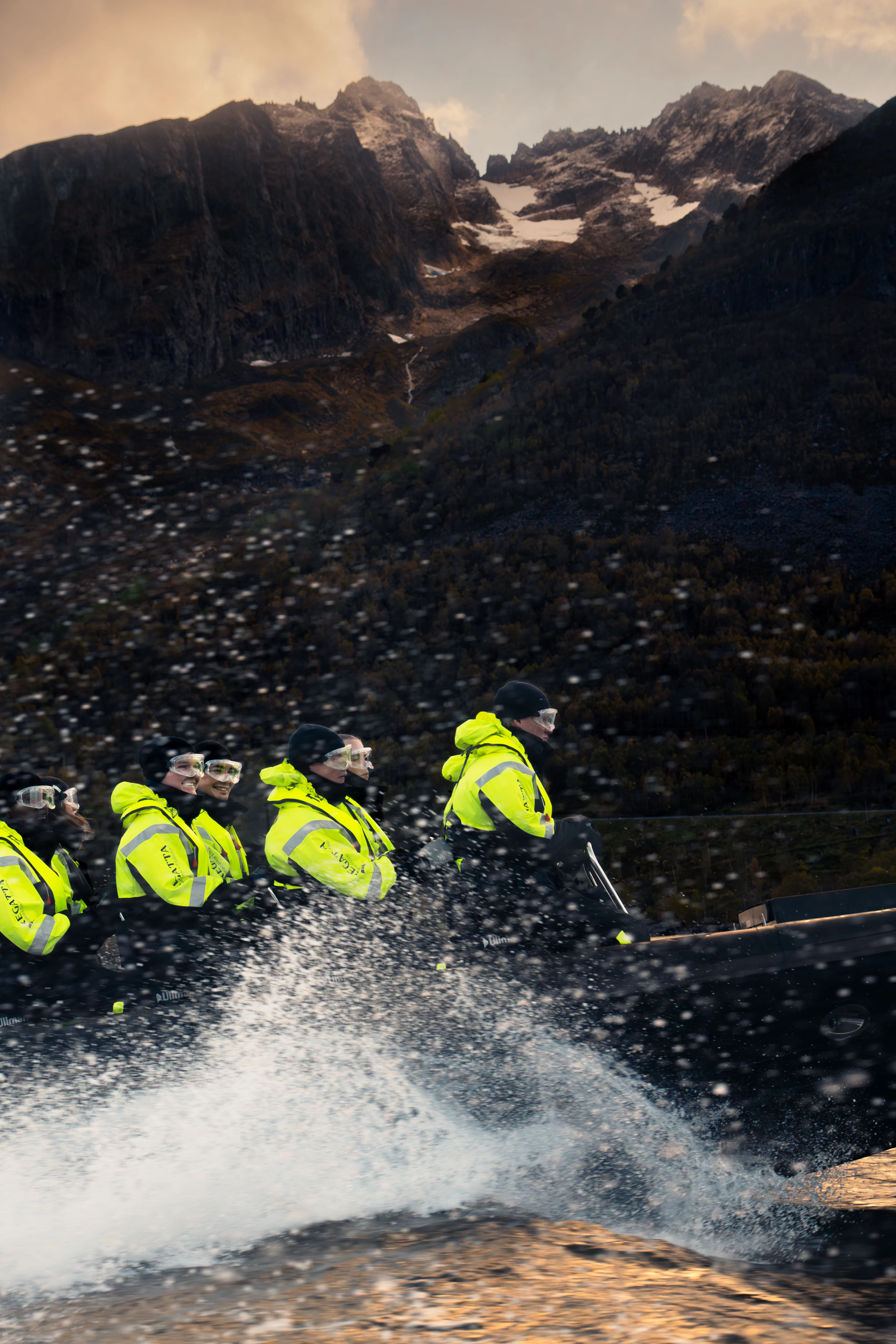 Dingle Rib Boat Tours