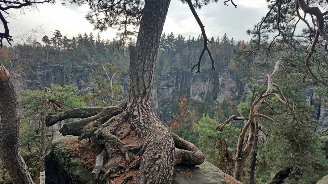 Schlikova Viewpoint