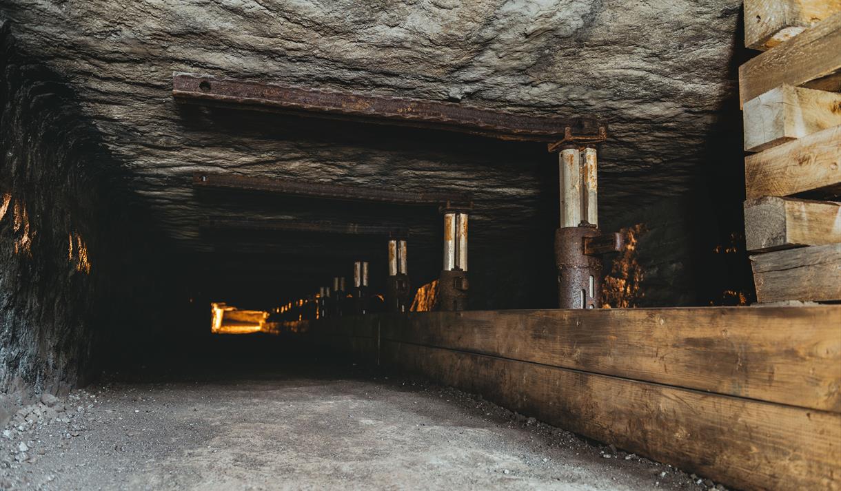 Guided Exploration