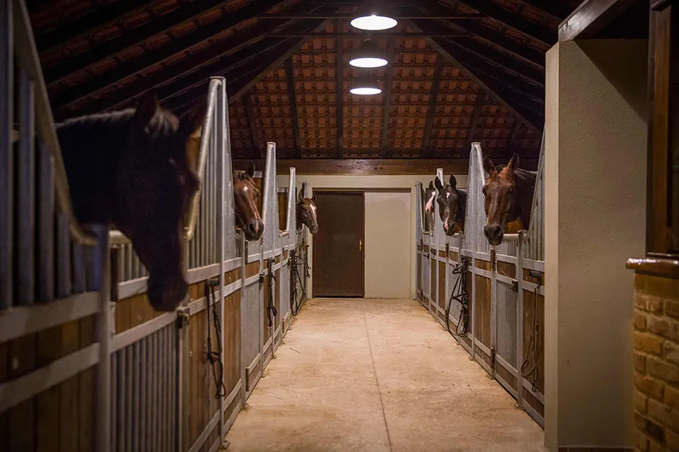 Rustic Stable Yard