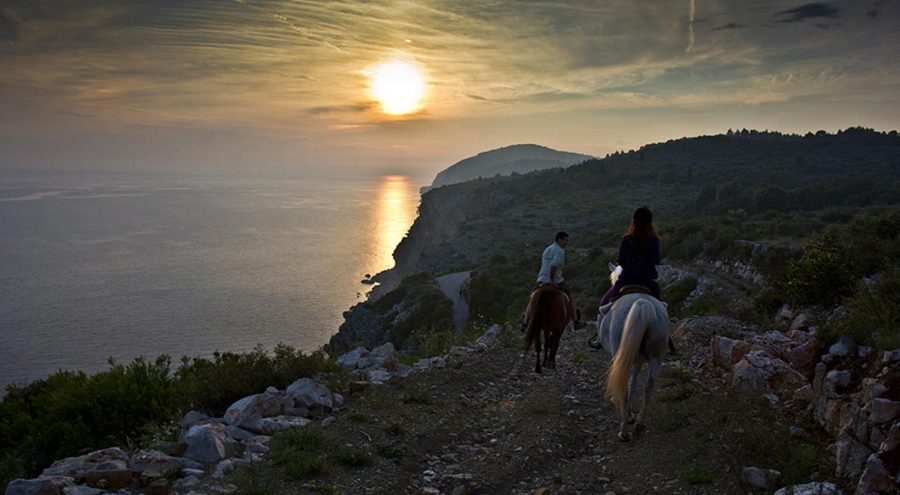 The Kojan Stables