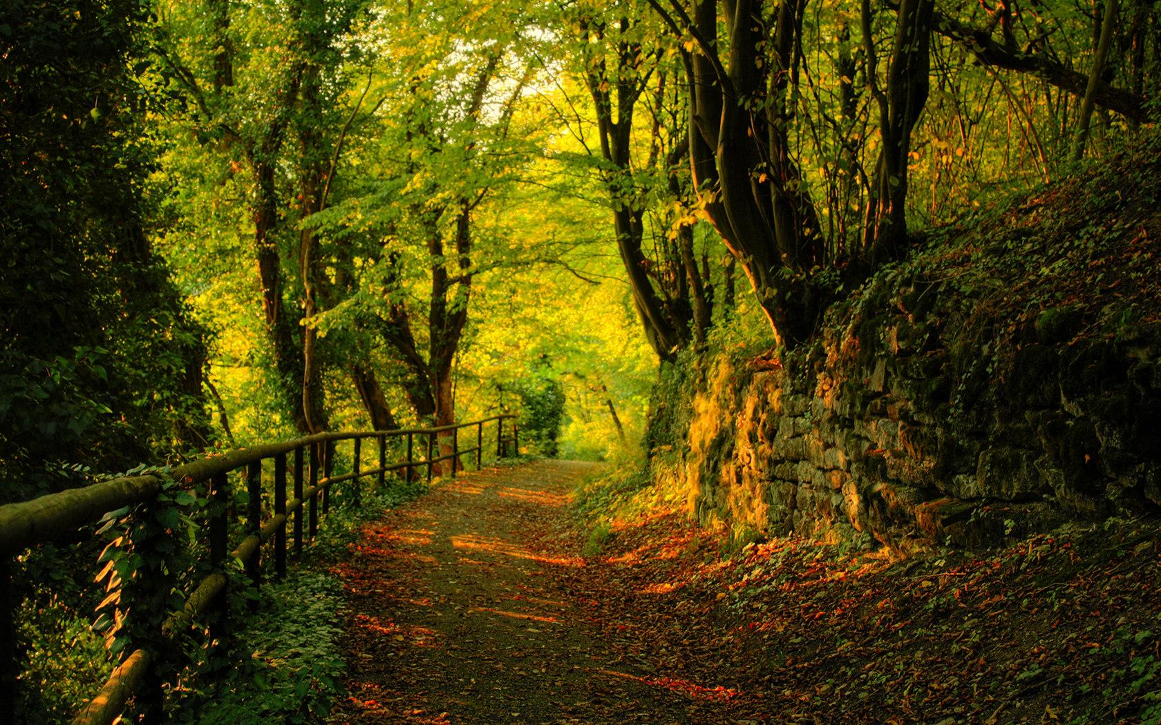 Konavle Forest Trails