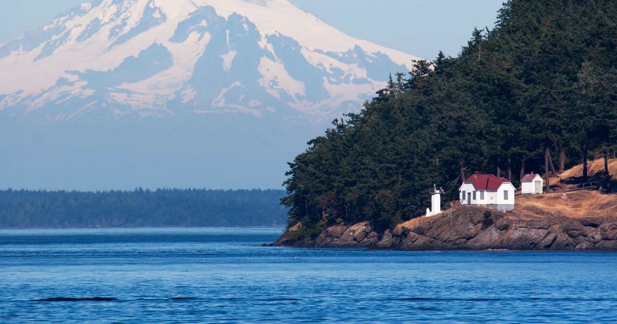 Discover the complex web of marine life that makes these waters a globally significant biological site.