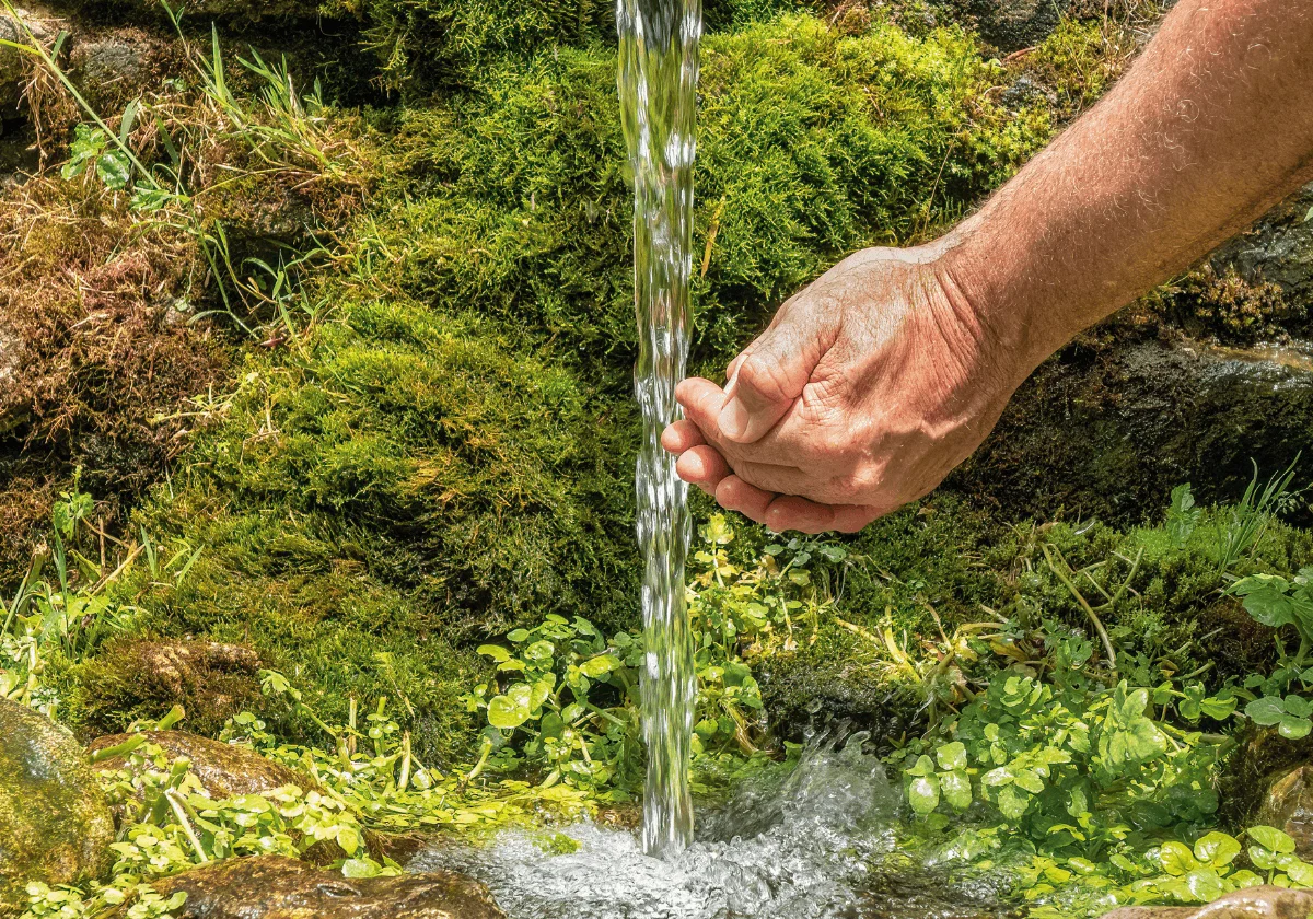 Natural Spring Rivers