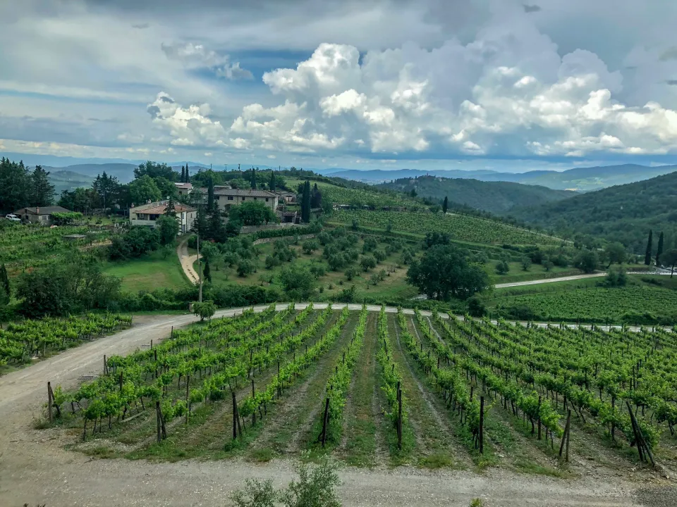 Poggio Amorelli Terrace