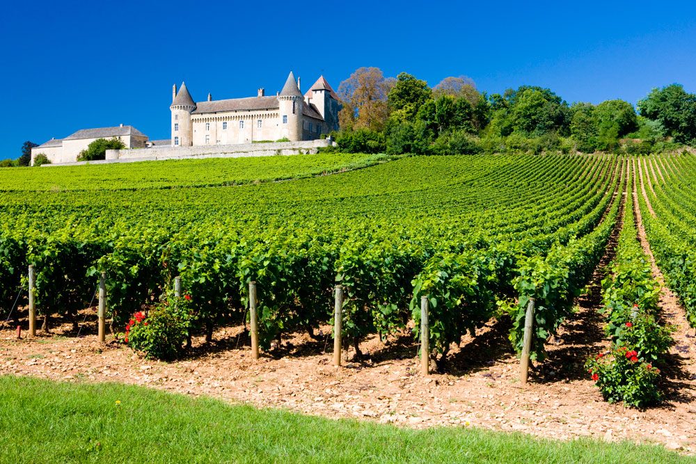 Château Vineyards