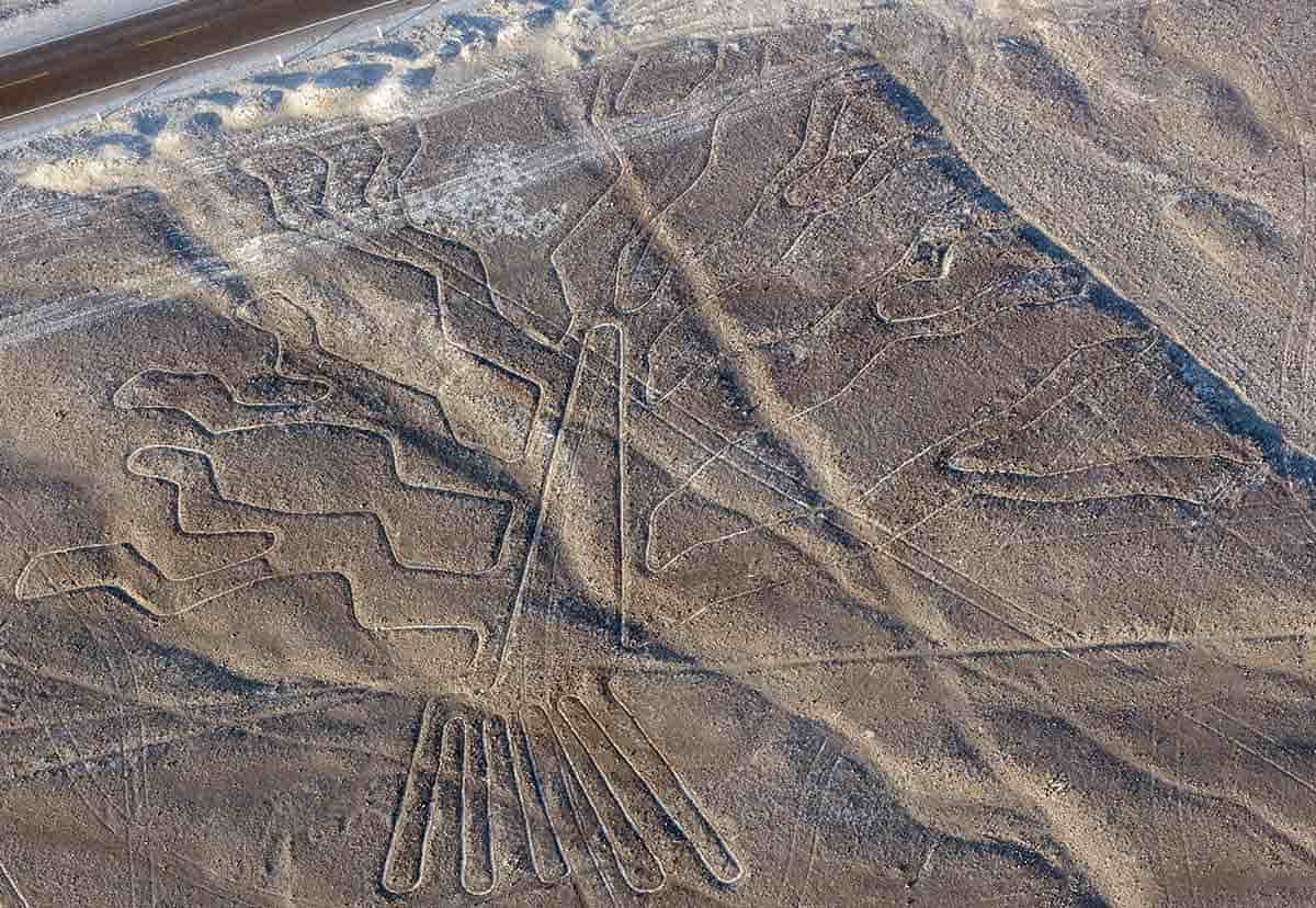 The Tree Geoglyph