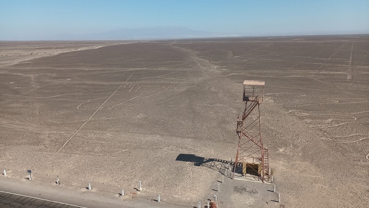 Nazca Lines Tour From Lima 1 Day