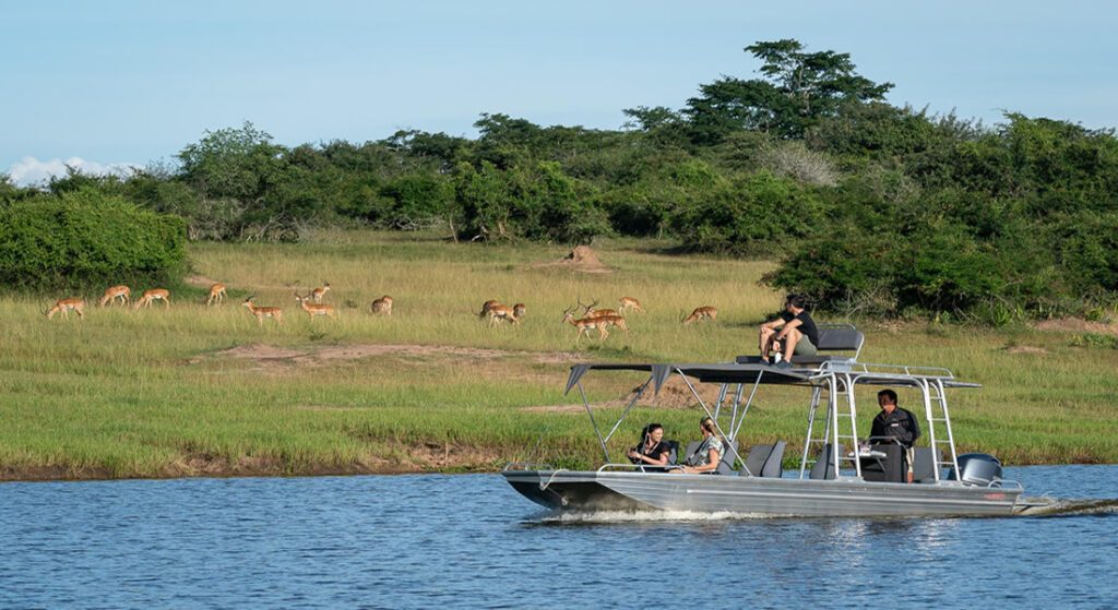 1 Day Akagera Safari From Kigali
