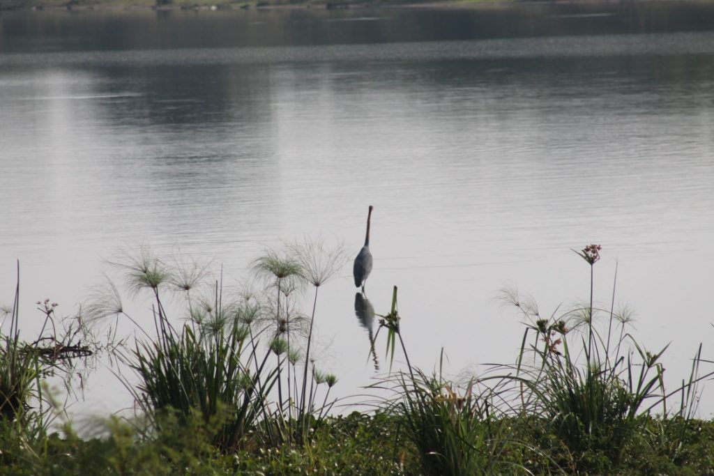 Lake Shakani Bank