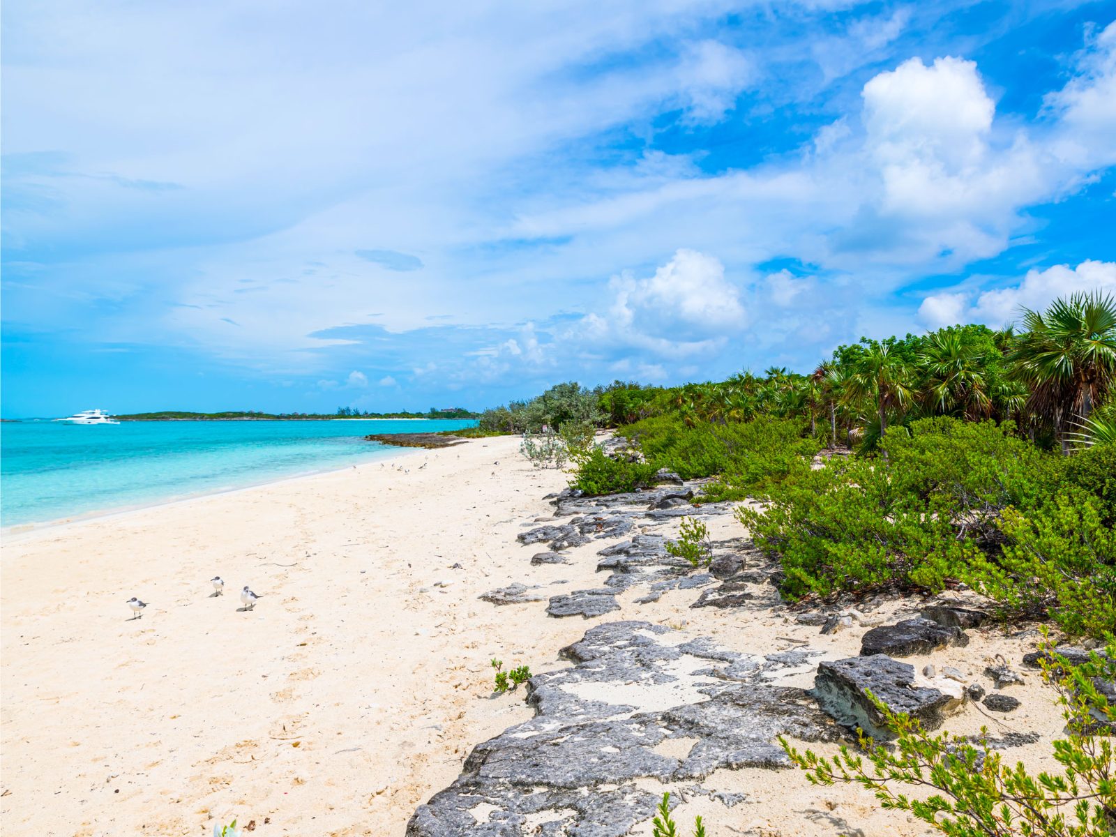 Sandy Beach Panorama