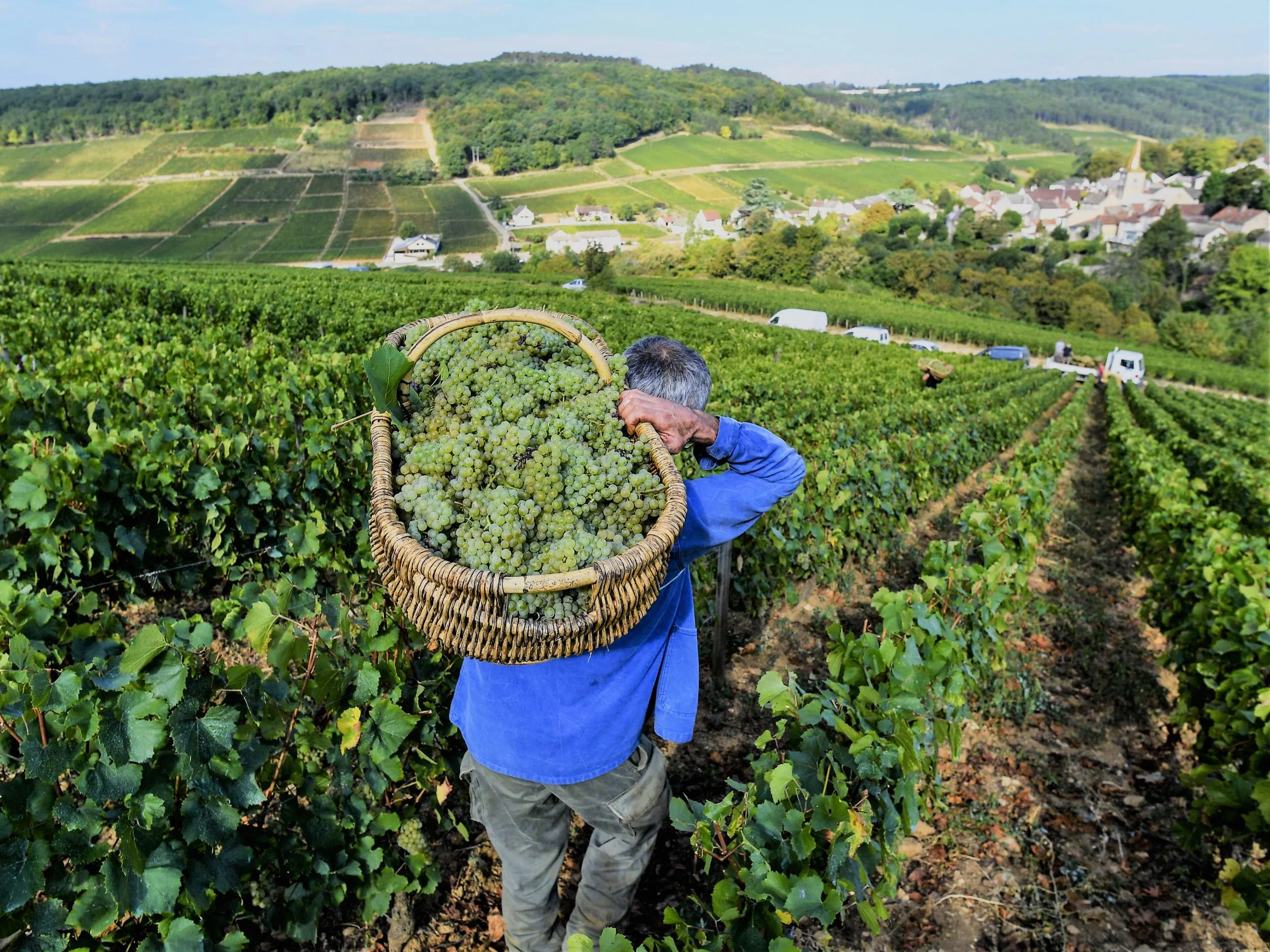 Grand Cru Routes