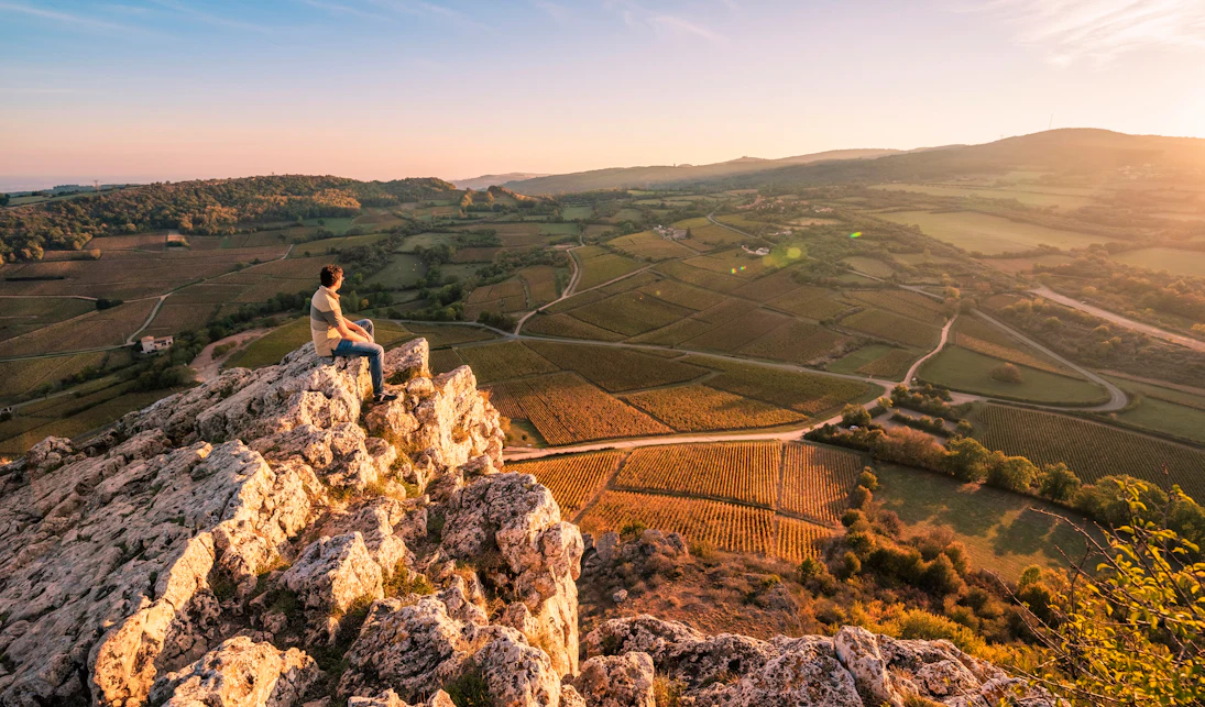 Vineyard Observation Points