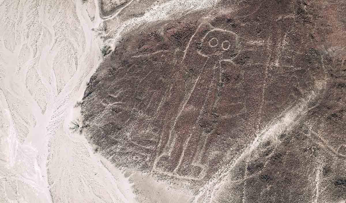 The Astronaut