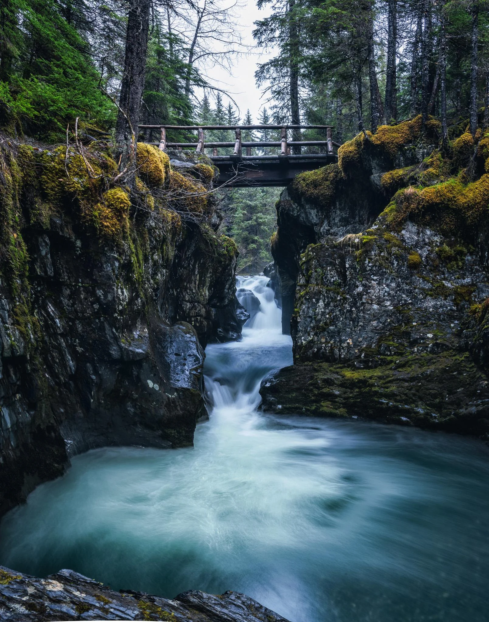 Winner Creek Trail