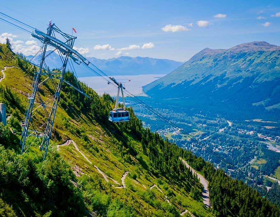 Turnagain Arm Wildlife Tour With Alyeska Tram