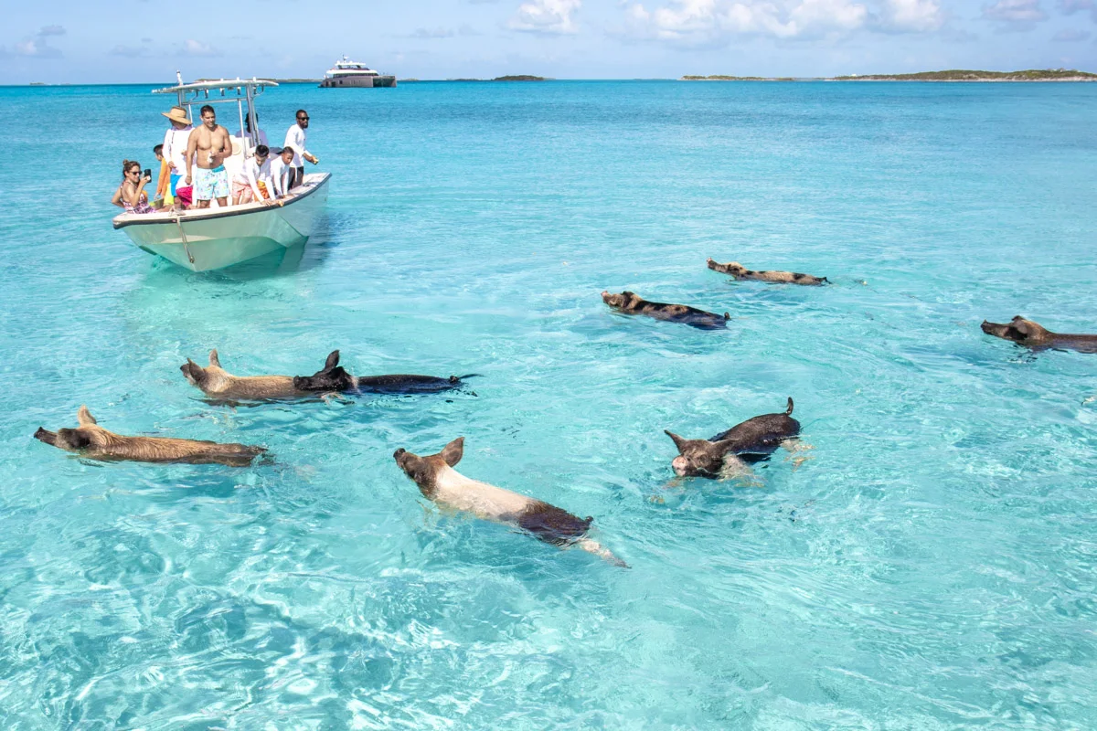 Nassau to Exuma Day Trip by Boat