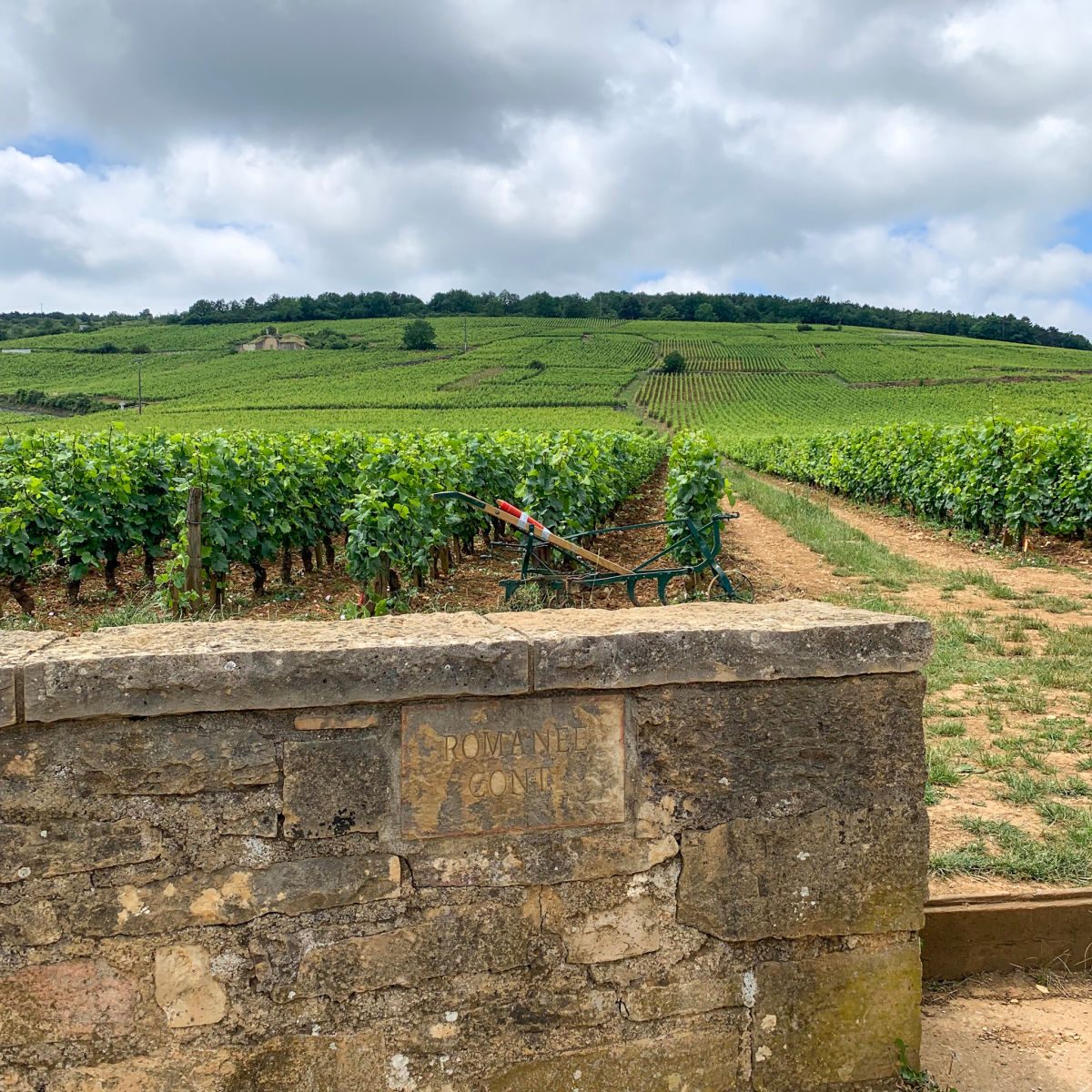 Romanée-Conti Vineyard Boundary
