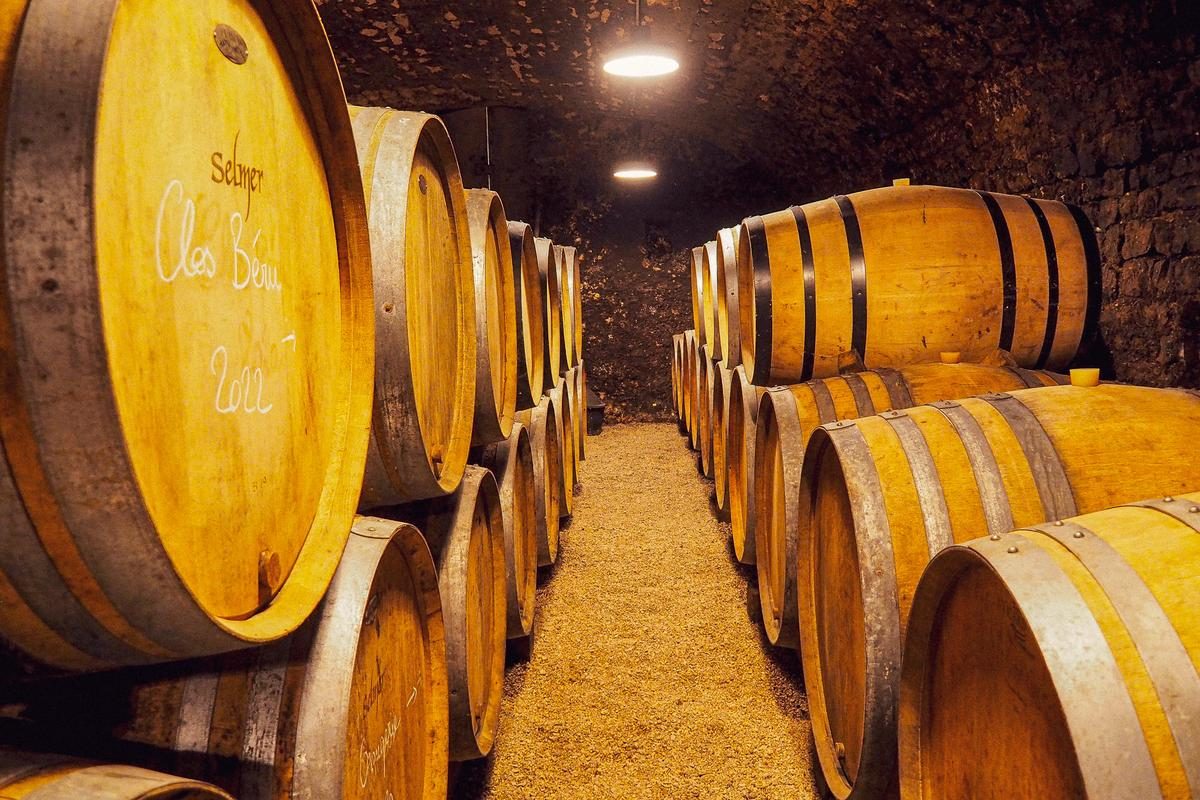 Burgundy Wine Tour From Dijon