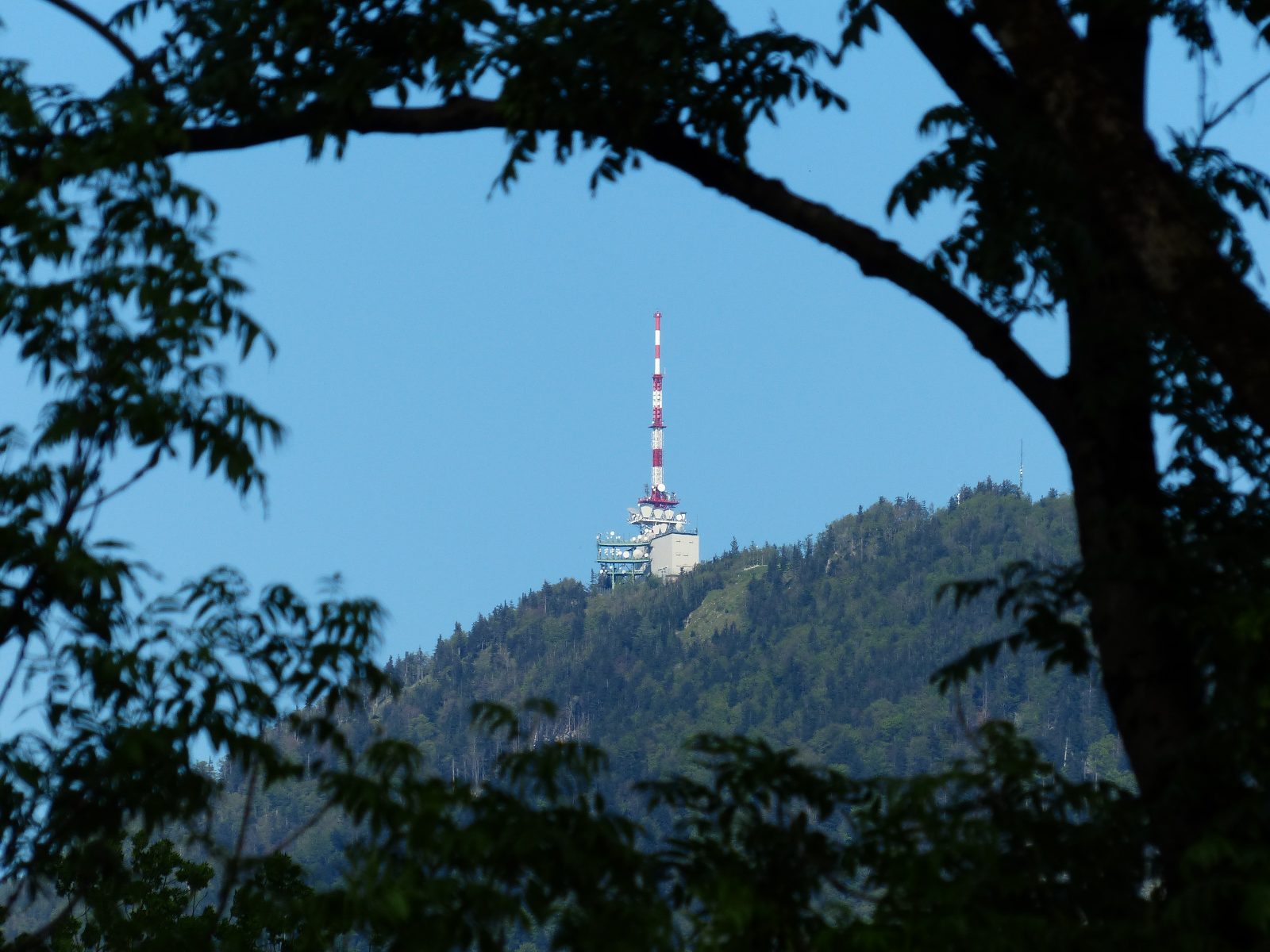 Gaisberg Transmitter Trail