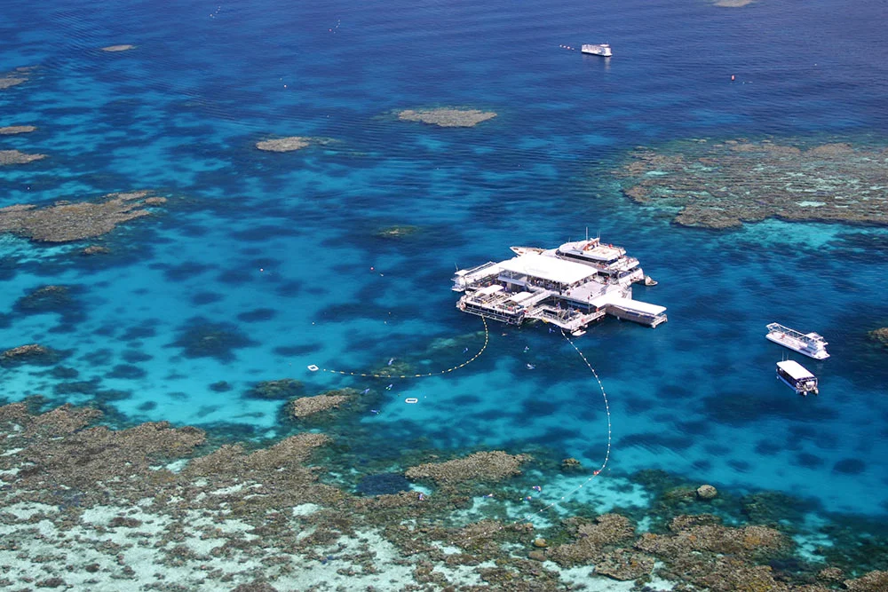 Main Activity Platform