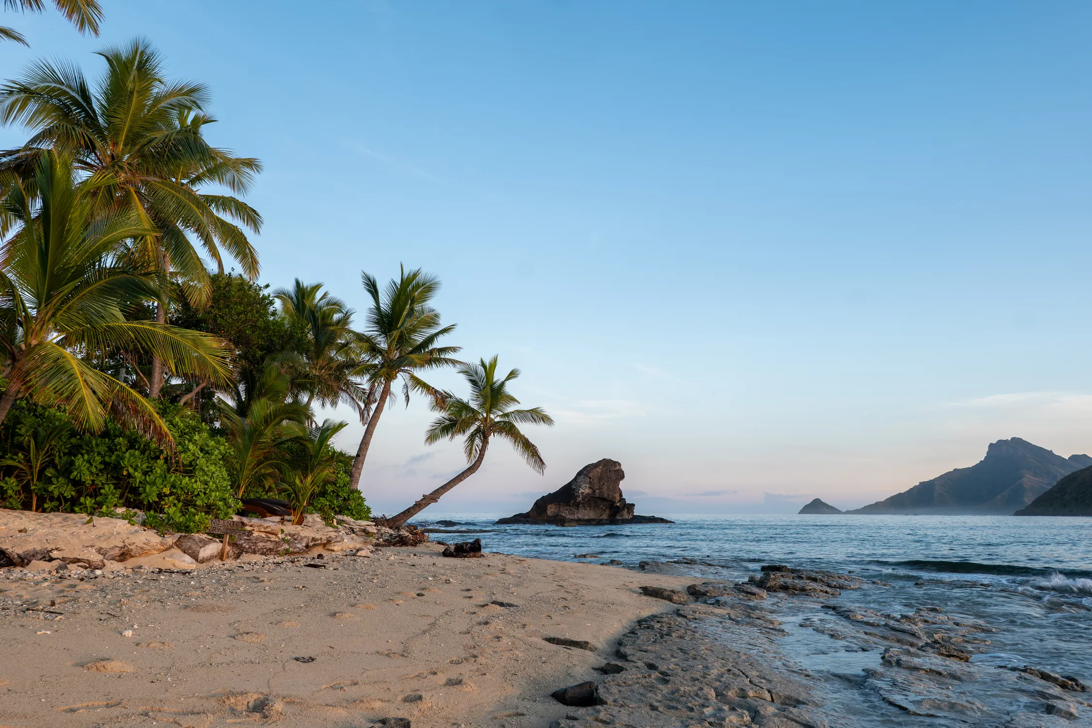 Beachfront Palm Line