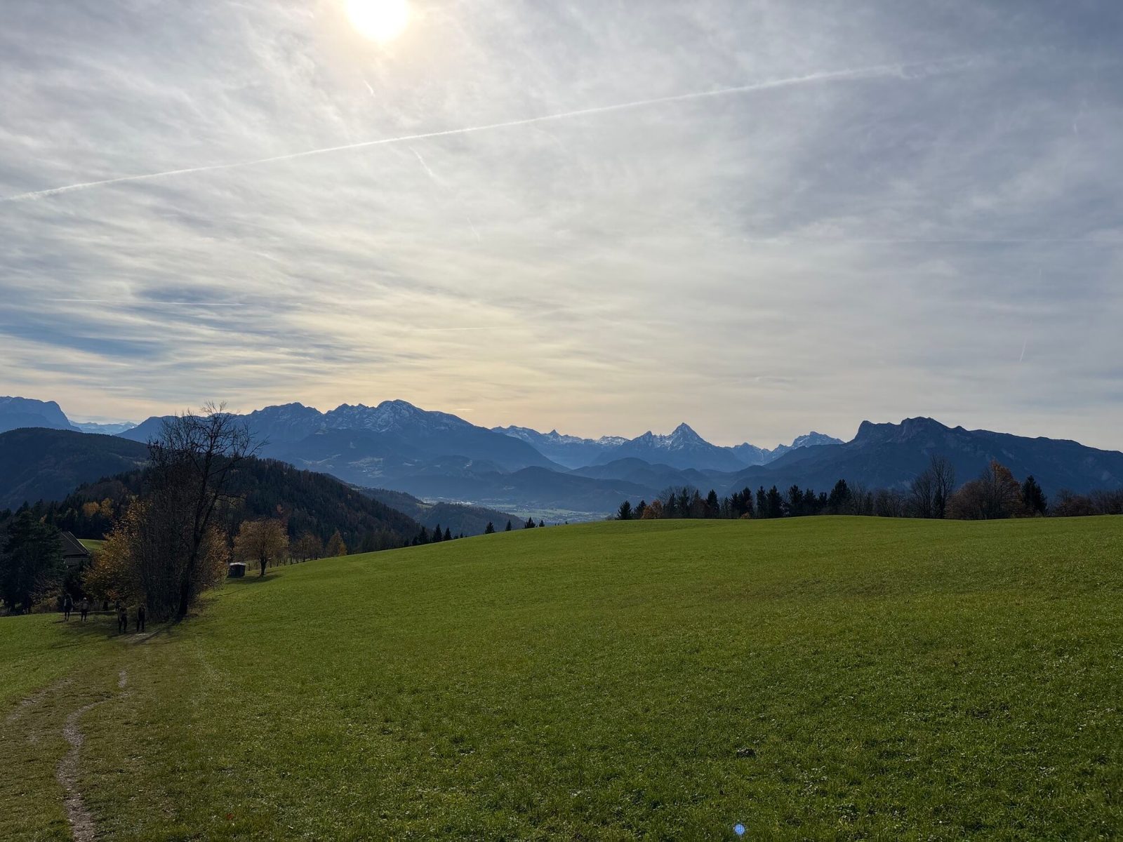 Zistelalm Meadow