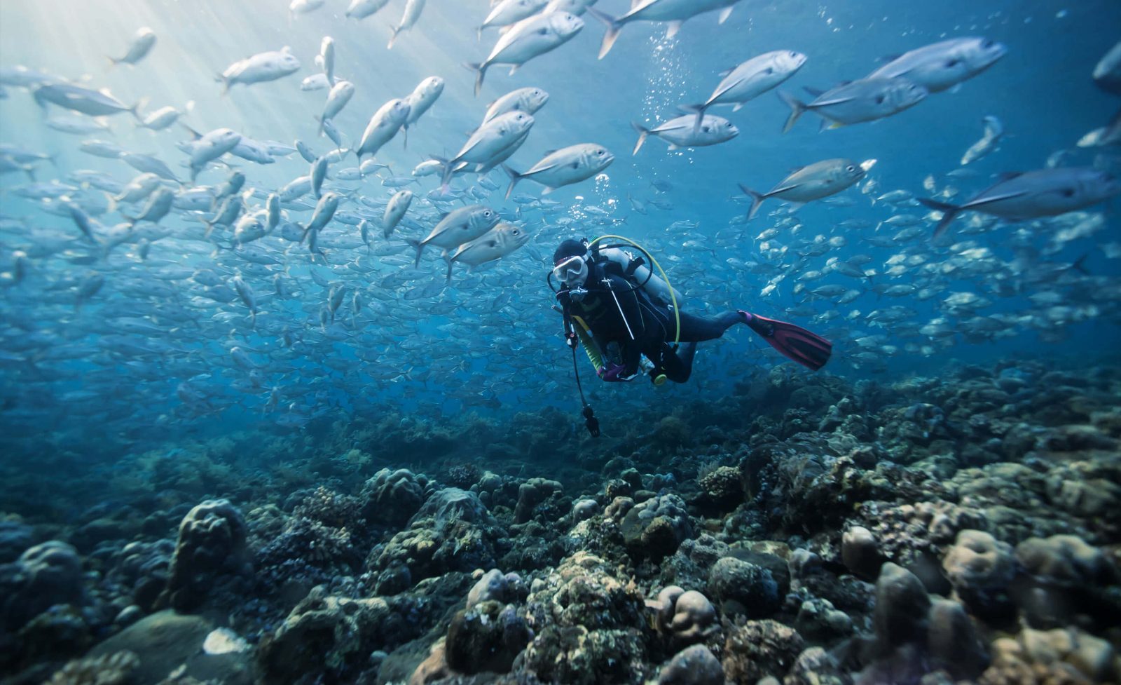 Marine Sanctuary
