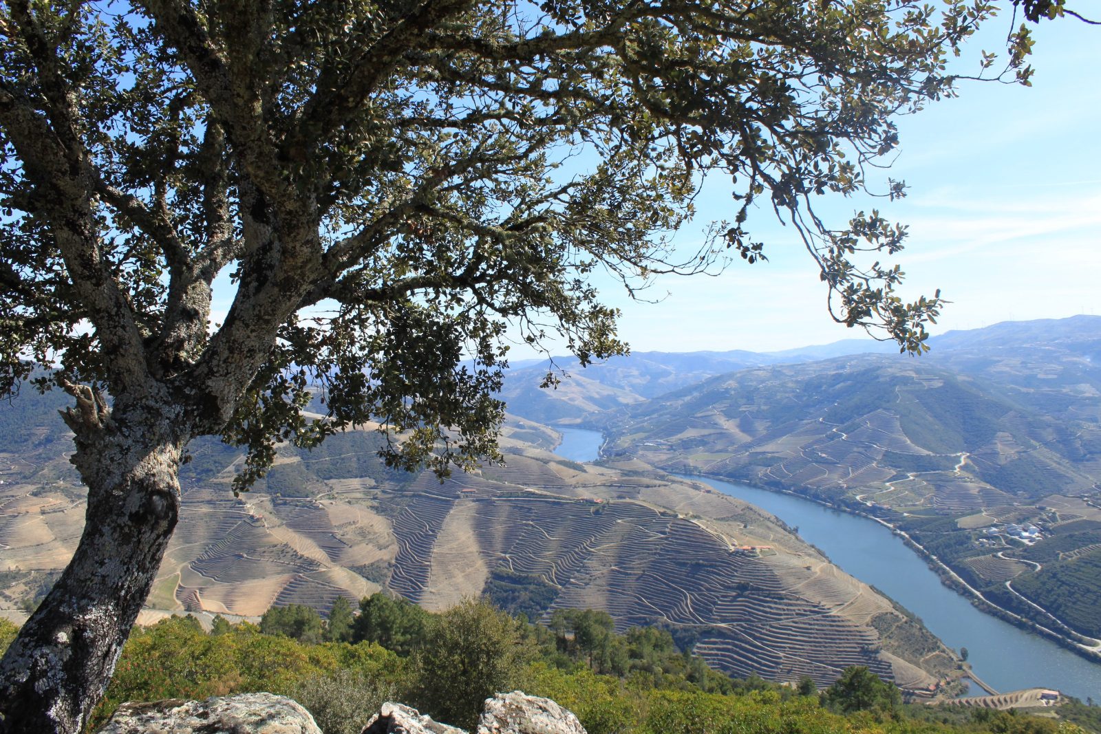 Miradouro de São Leonardo de Galafura
