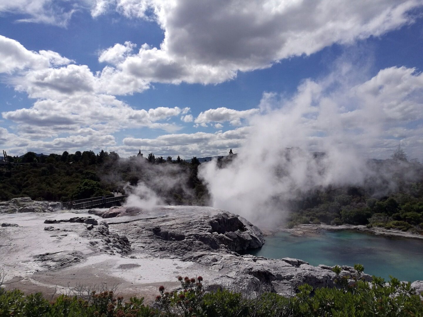 Auckland to Rotorua Day Tour