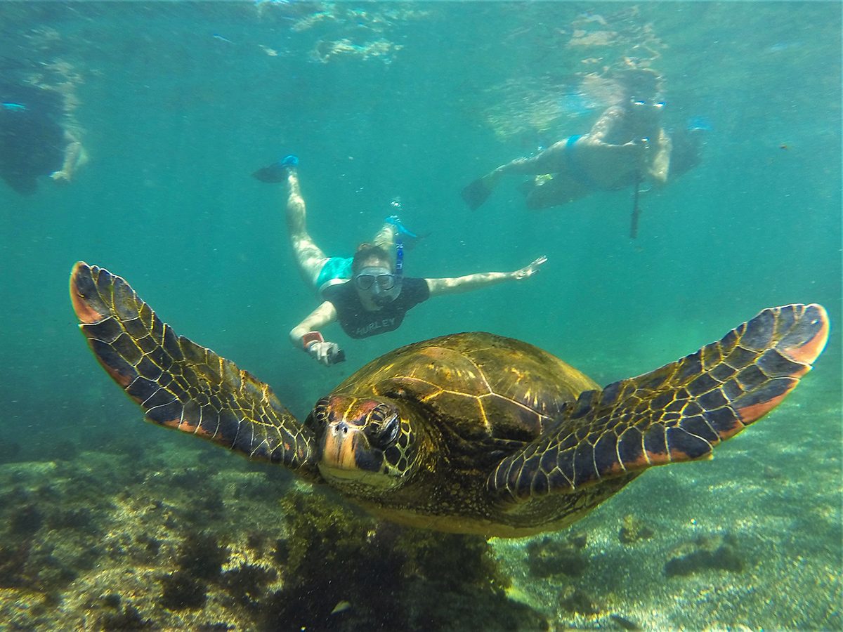 Barrington Bay Snorkeling