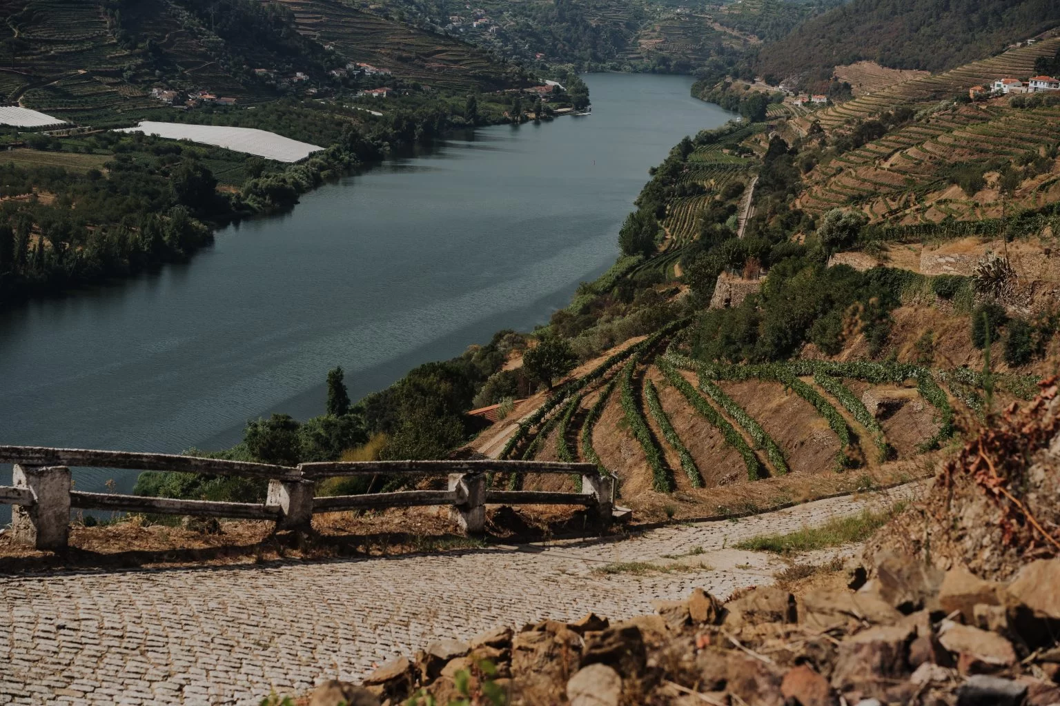 Miradouro de Mesão Frio
