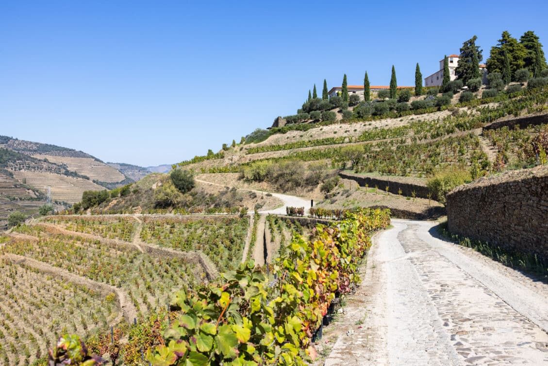 Quinta do Seixo Terraces