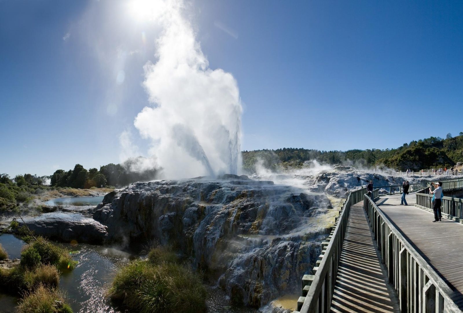 Pohutu Geyser Observation Deck