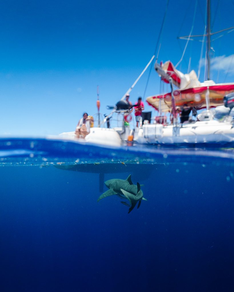 Tetiaroa Day Trip From Tahiti