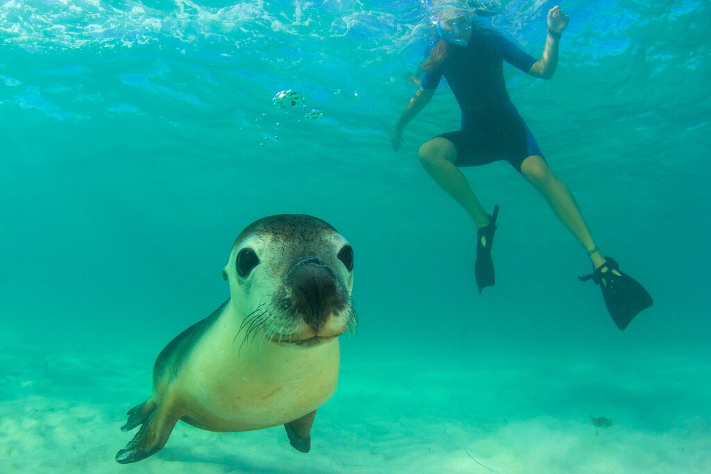 Santa Fe Island Snorkeling