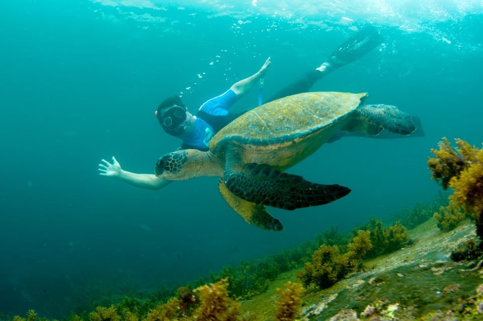 North Shore Reef