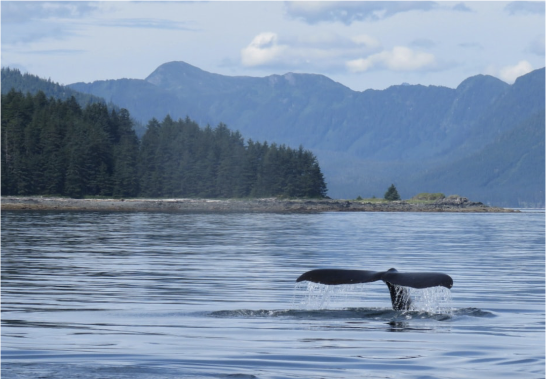 Sitka Sound Mid-Channel