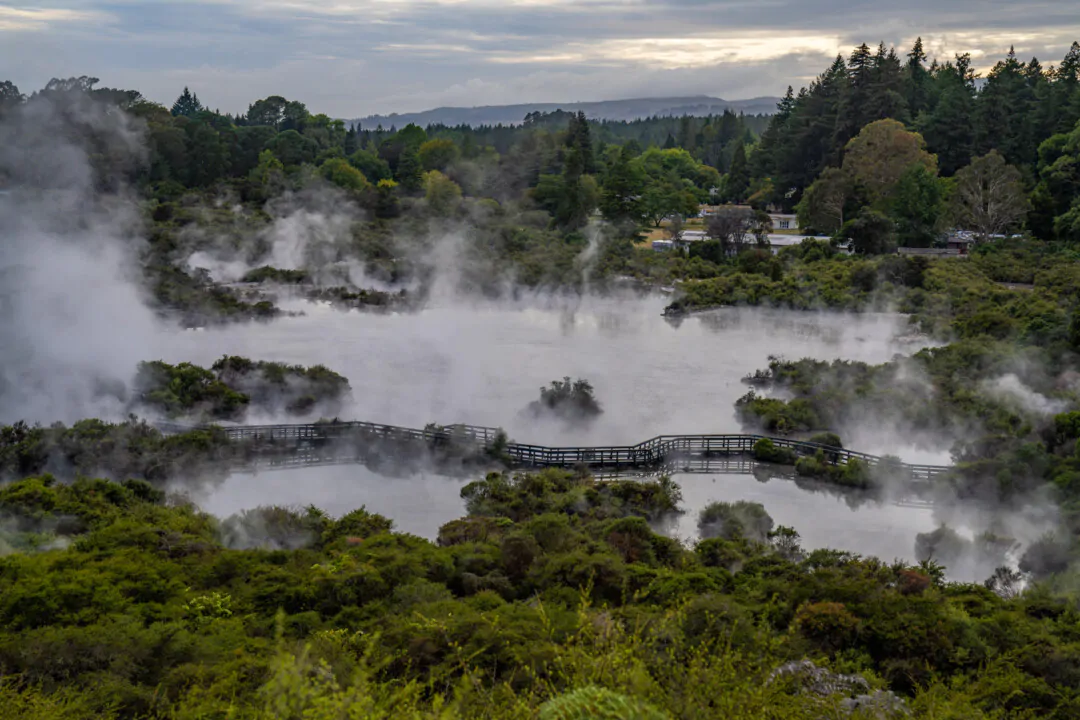 Te Whakarewarewa Geothermal Valley